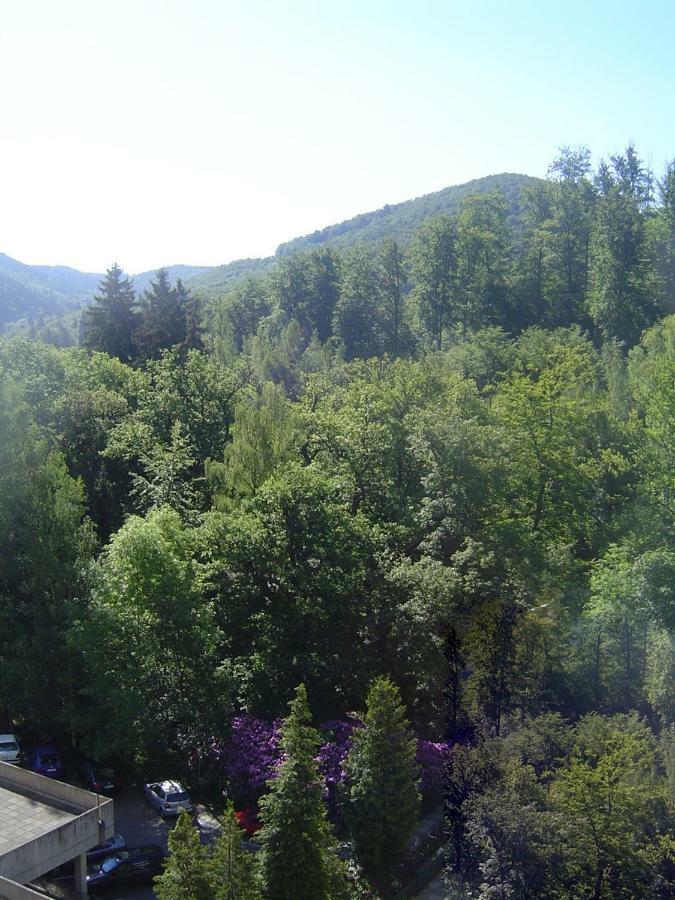 Appartement Scharf Bad Harzburg Buitenkant foto